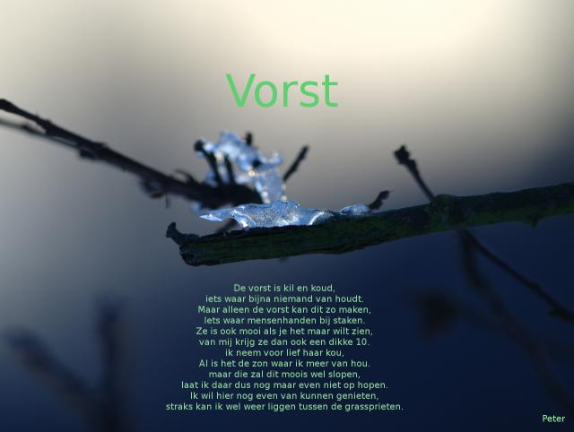 vorst+tekst.jpg
